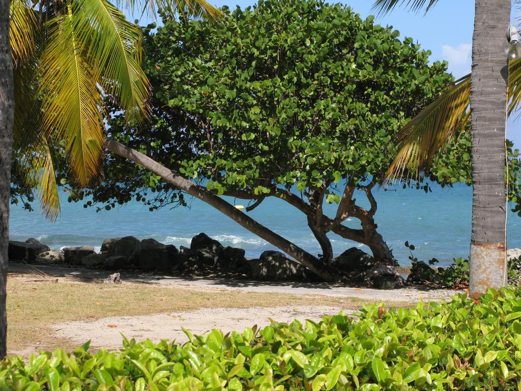 Tamarind Reef Resort Spa & Marina Christiansted Kültér fotó
