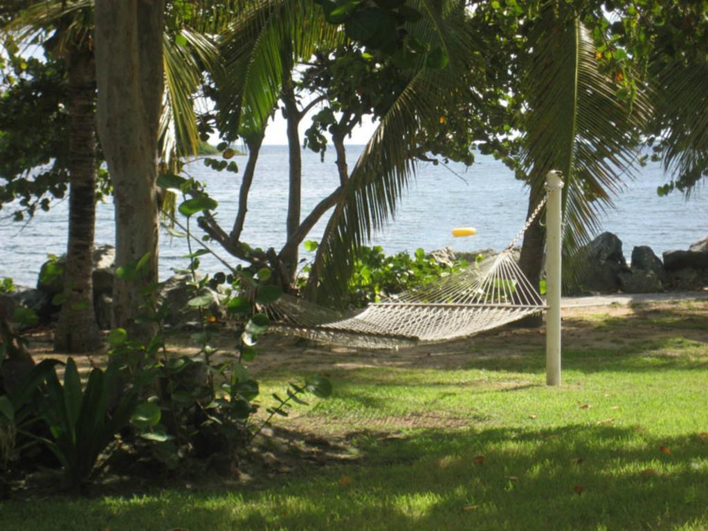 Tamarind Reef Resort Spa & Marina Christiansted Kültér fotó