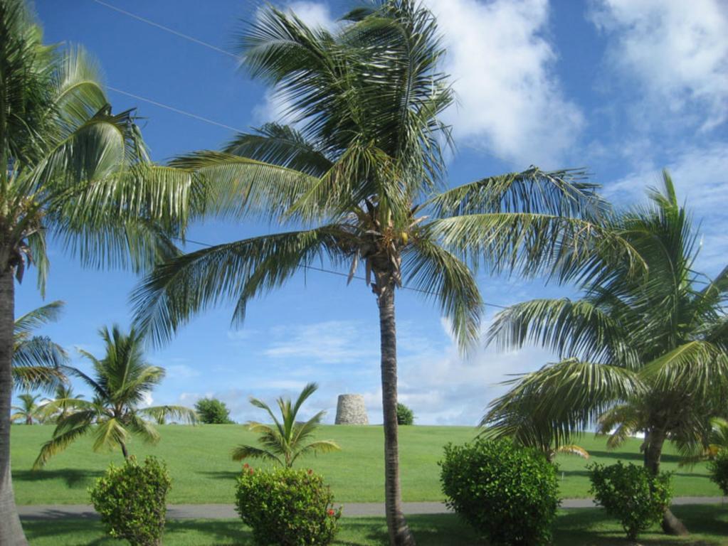 Tamarind Reef Resort Spa & Marina Christiansted Kültér fotó