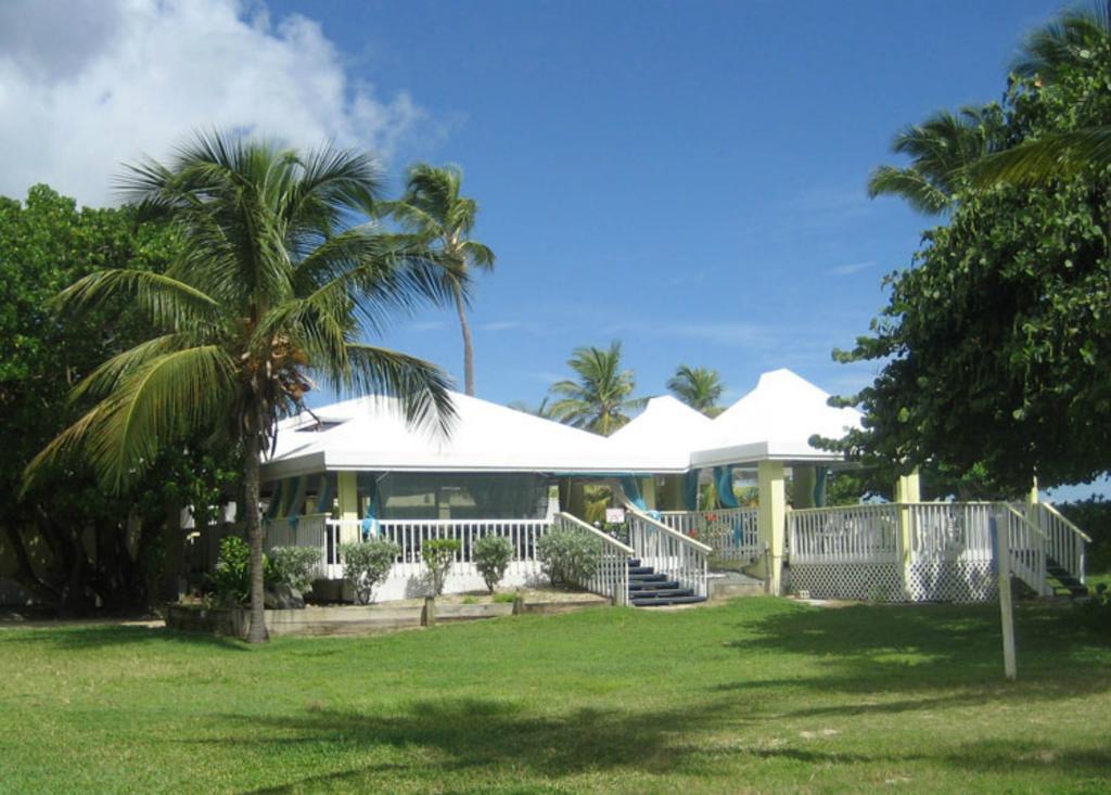 Tamarind Reef Resort Spa & Marina Christiansted Kültér fotó