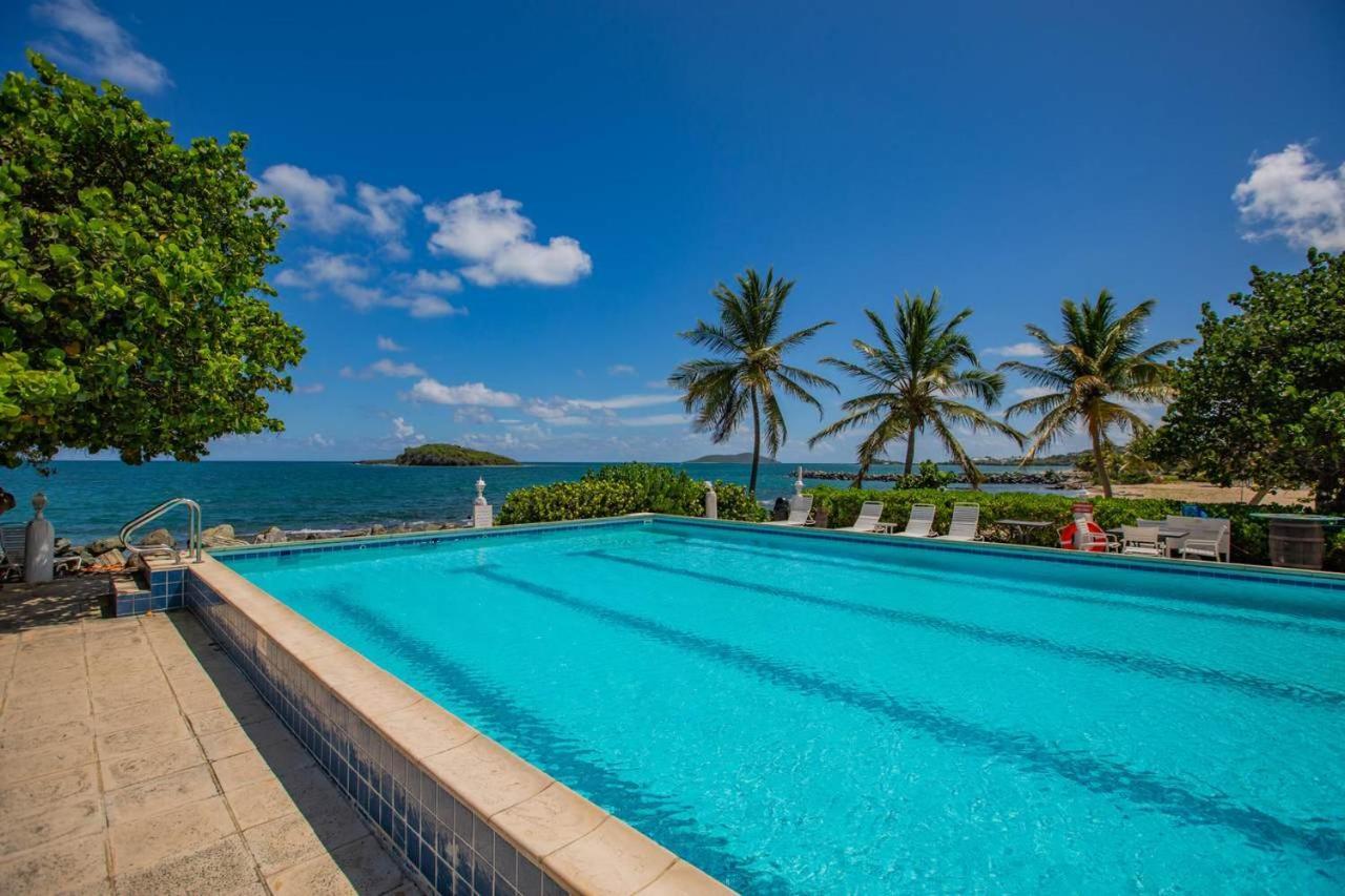 Tamarind Reef Resort Spa & Marina Christiansted Kültér fotó