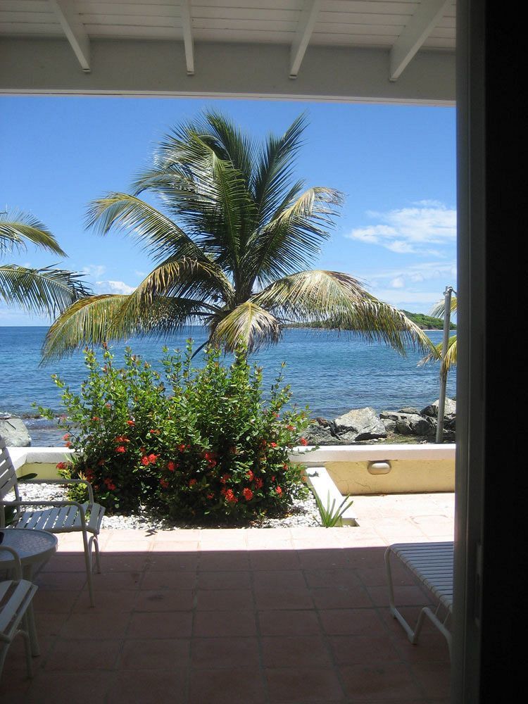 Tamarind Reef Resort Spa & Marina Christiansted Kültér fotó