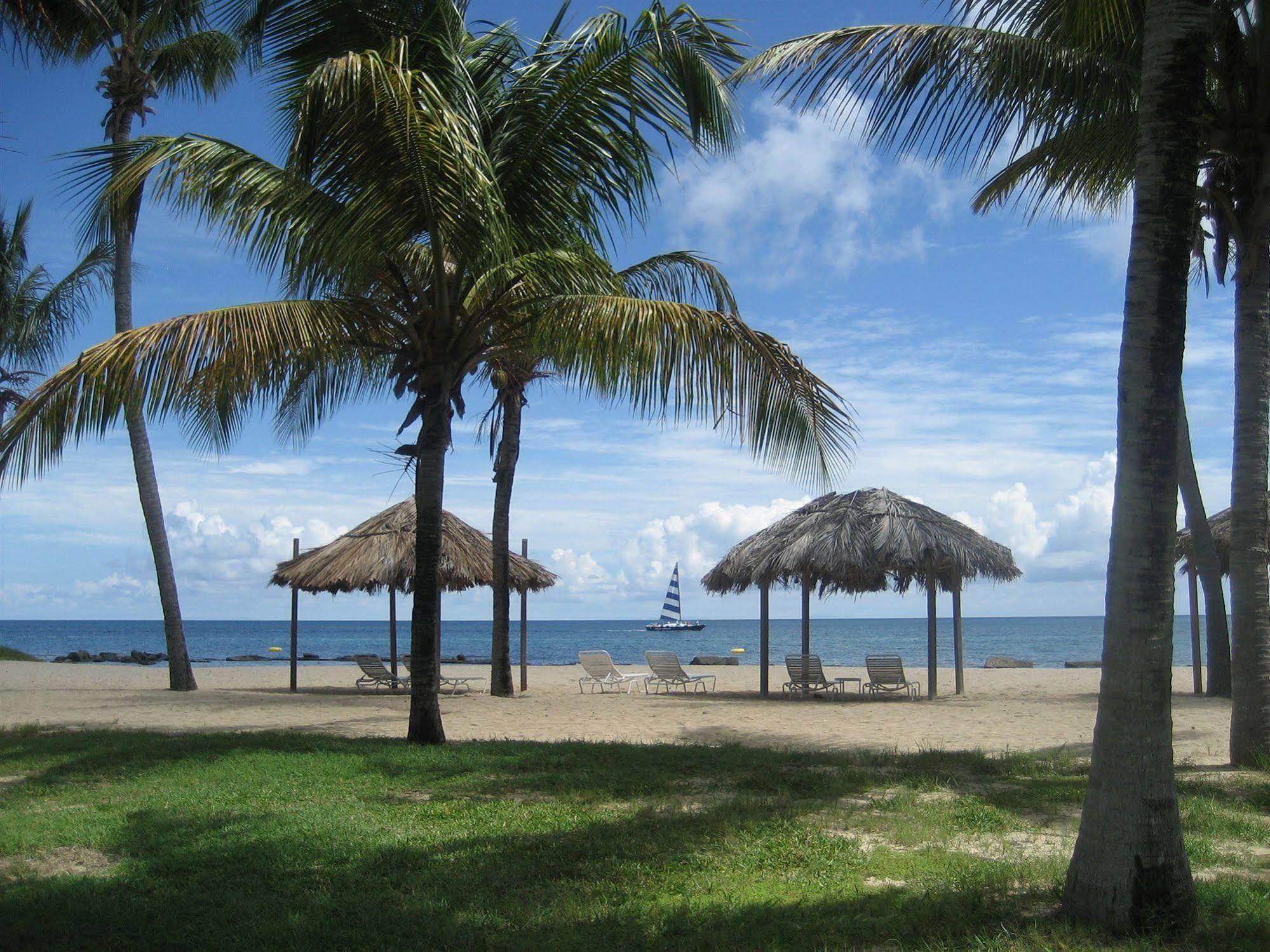 Tamarind Reef Resort Spa & Marina Christiansted Kültér fotó
