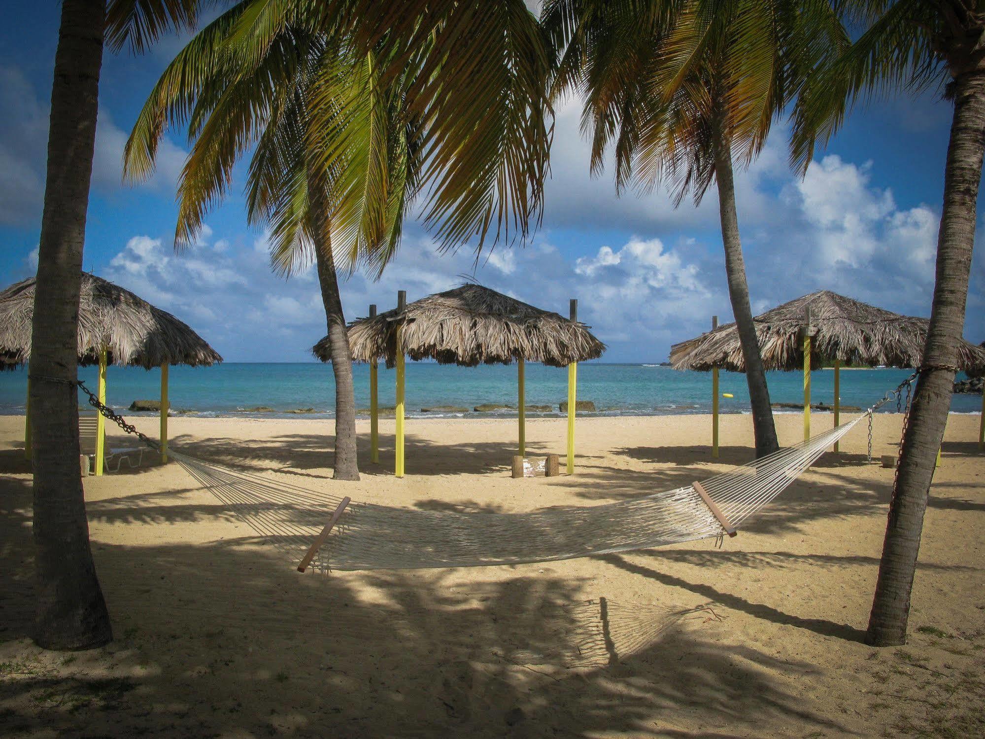 Tamarind Reef Resort Spa & Marina Christiansted Kültér fotó