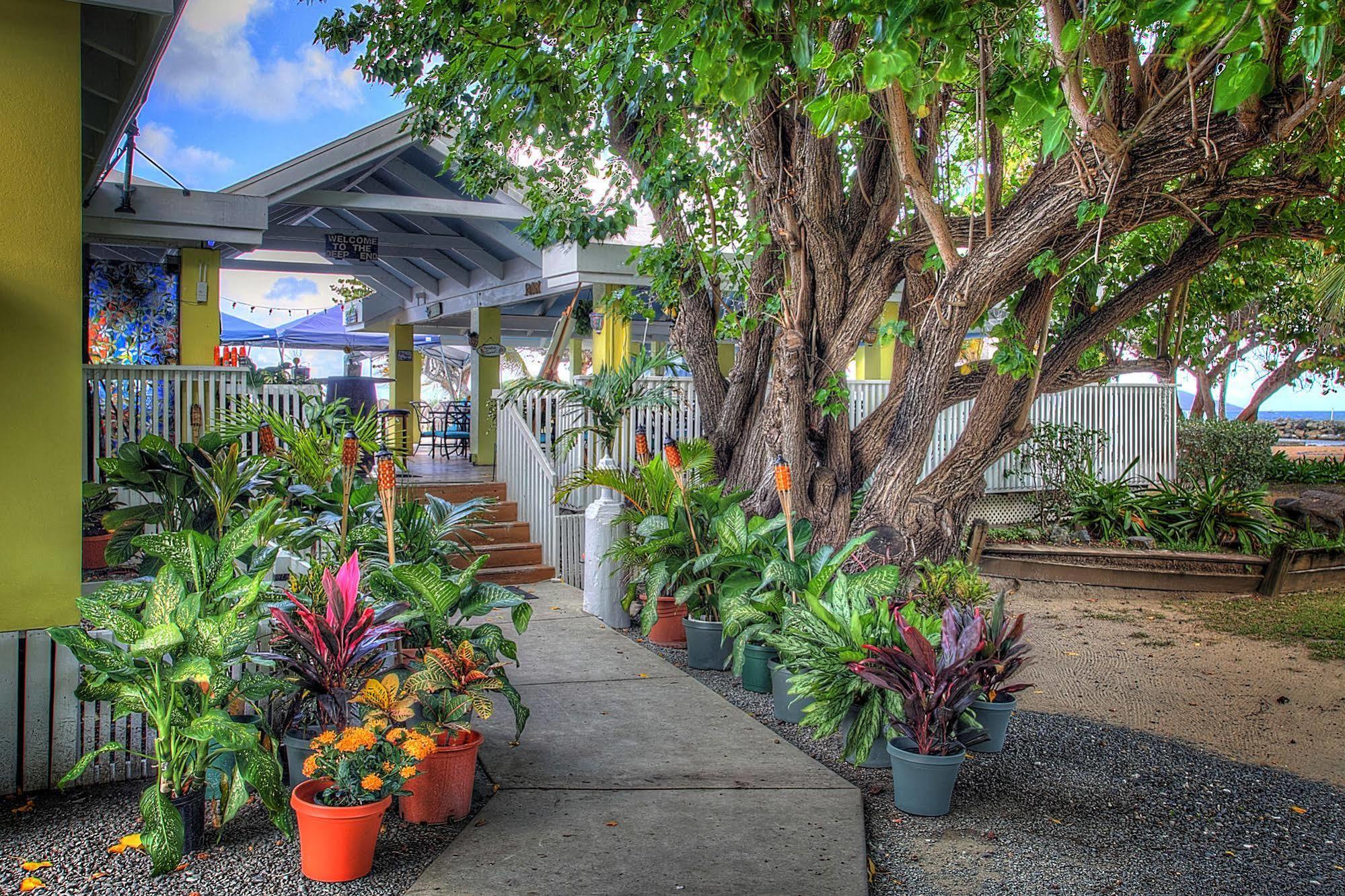 Tamarind Reef Resort Spa & Marina Christiansted Kültér fotó